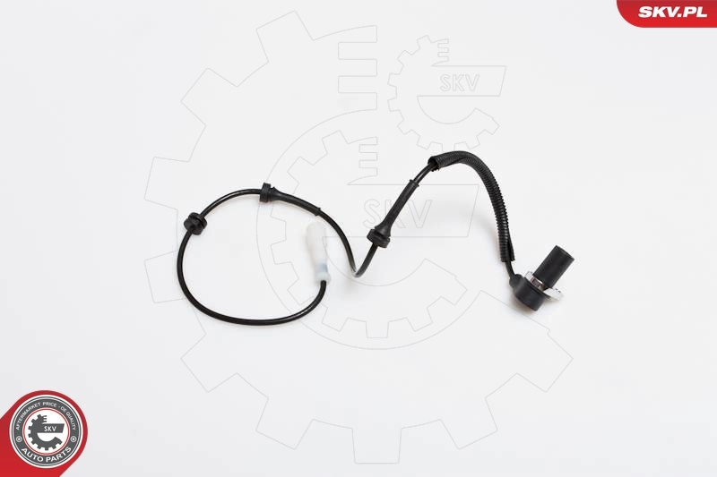 06SKV167 SKV
