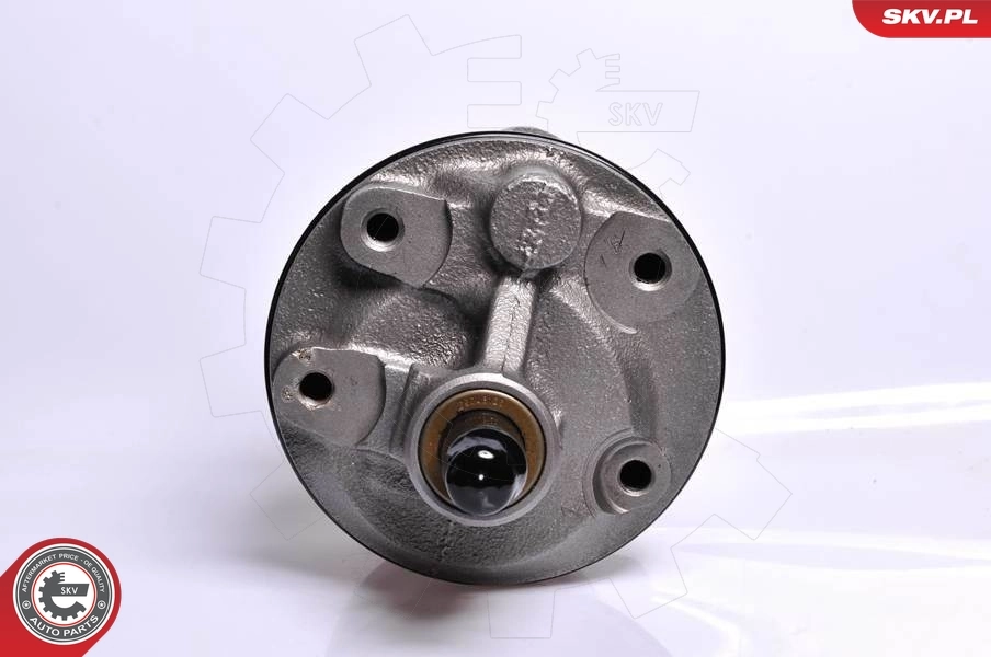 Bomba de dirección asistida  Chrysler Voyager I ES monovolumen (1984 - 1995) precio, desde 126,22 EUR