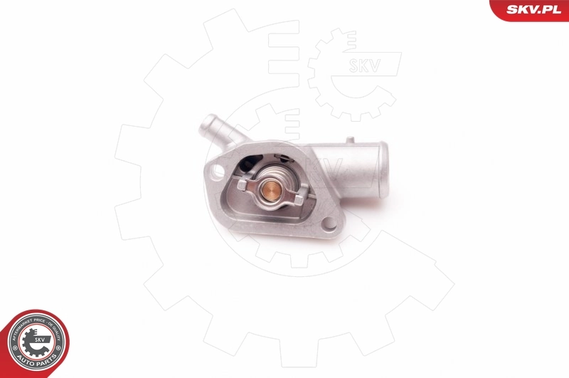 Termostato SKV 20SKV050 precio, desde 15,63 EUR