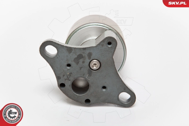 Válvula EGR para Fiat Punto I 176