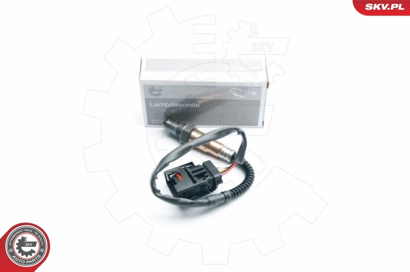 09SKV865 SKV