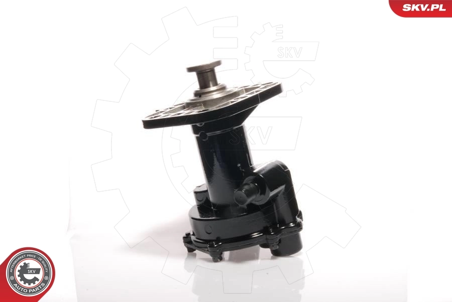Bomba de vacío del sistema de frenado SKV 18SKV011 precio, desde 164,36 EUR