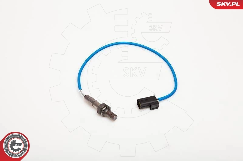 09SKV012 SKV