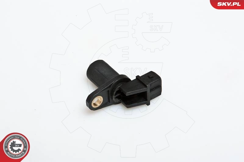 17SKV203 SKV