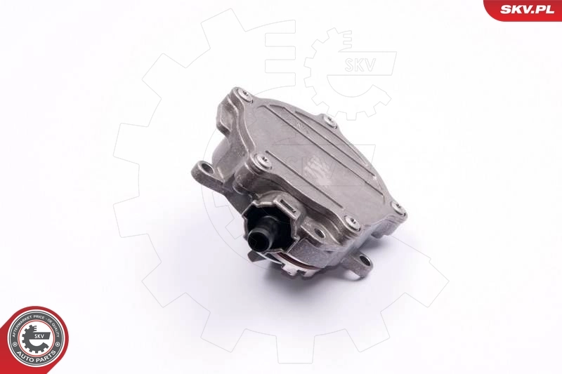 Bomba de vacío del sistema de frenado SKV 18SKV017 precio, desde 98,57 EUR