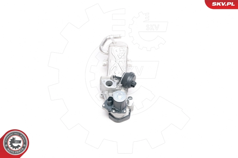 Comprar 14SKV094 SKV Enfriador de recirculación de gases de escape EGR
