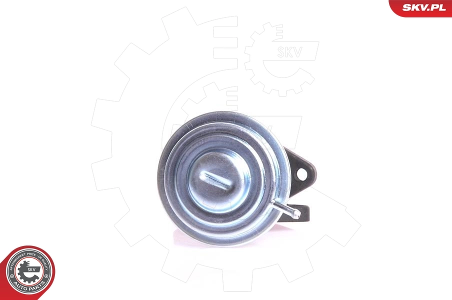  Válvula EGR Audi 100 