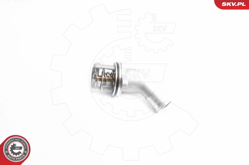 20SKV041 SKV