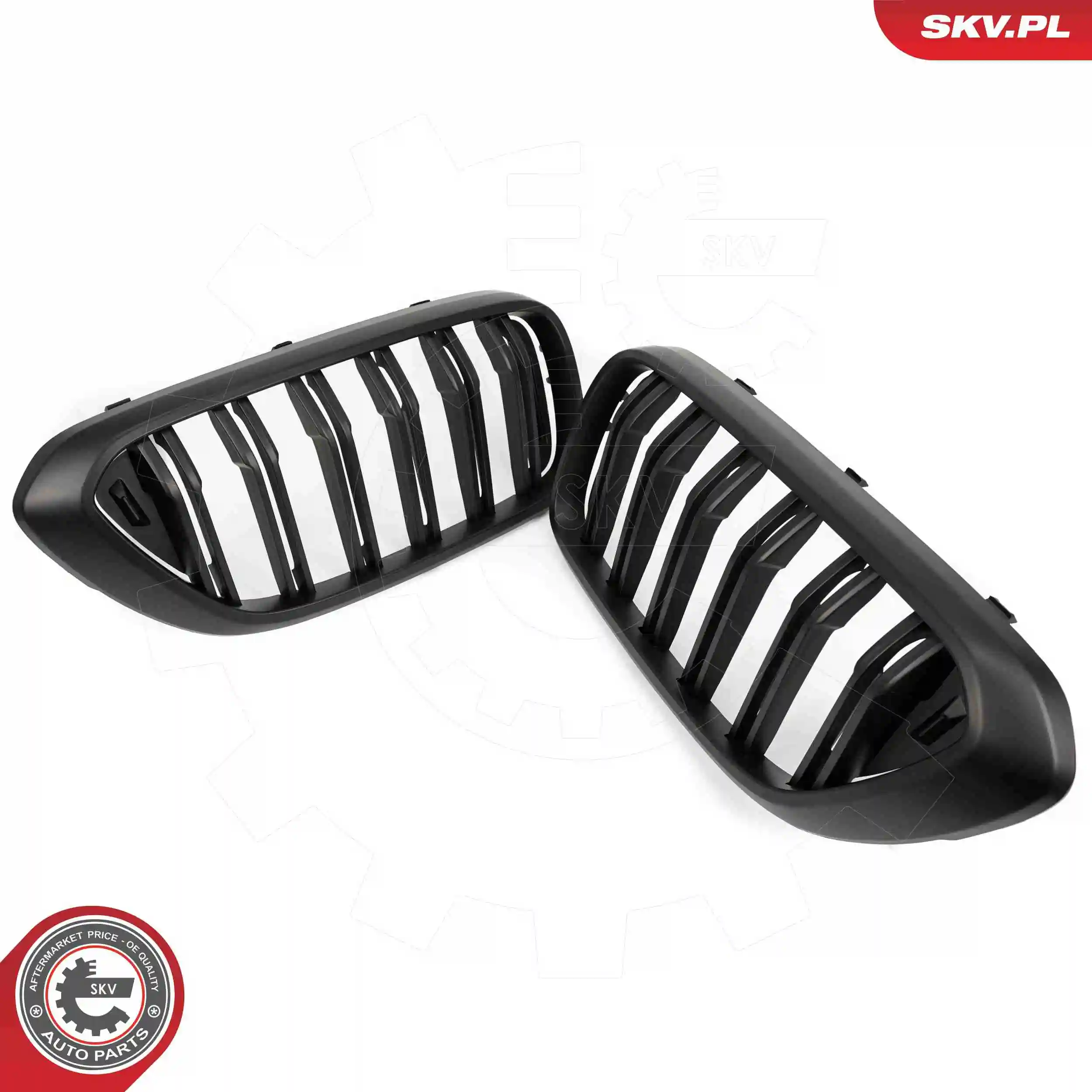  Parrilla BMW 6 