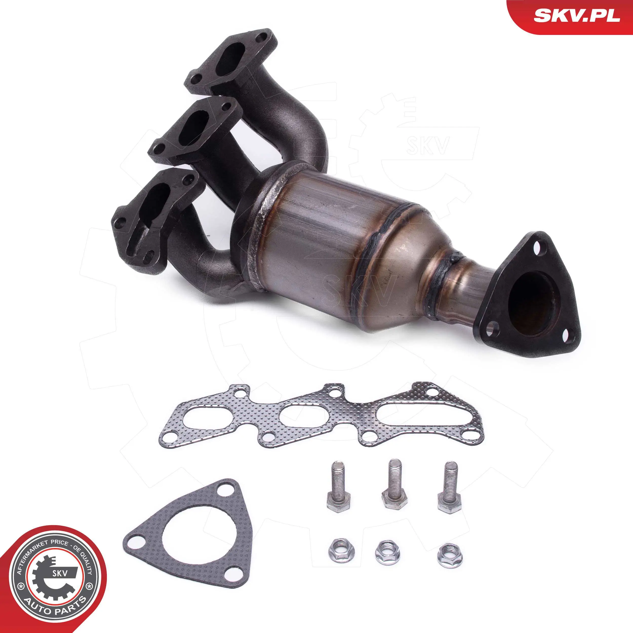 Catalizador SKV 62SKV012 precio, desde 196,60 EUR