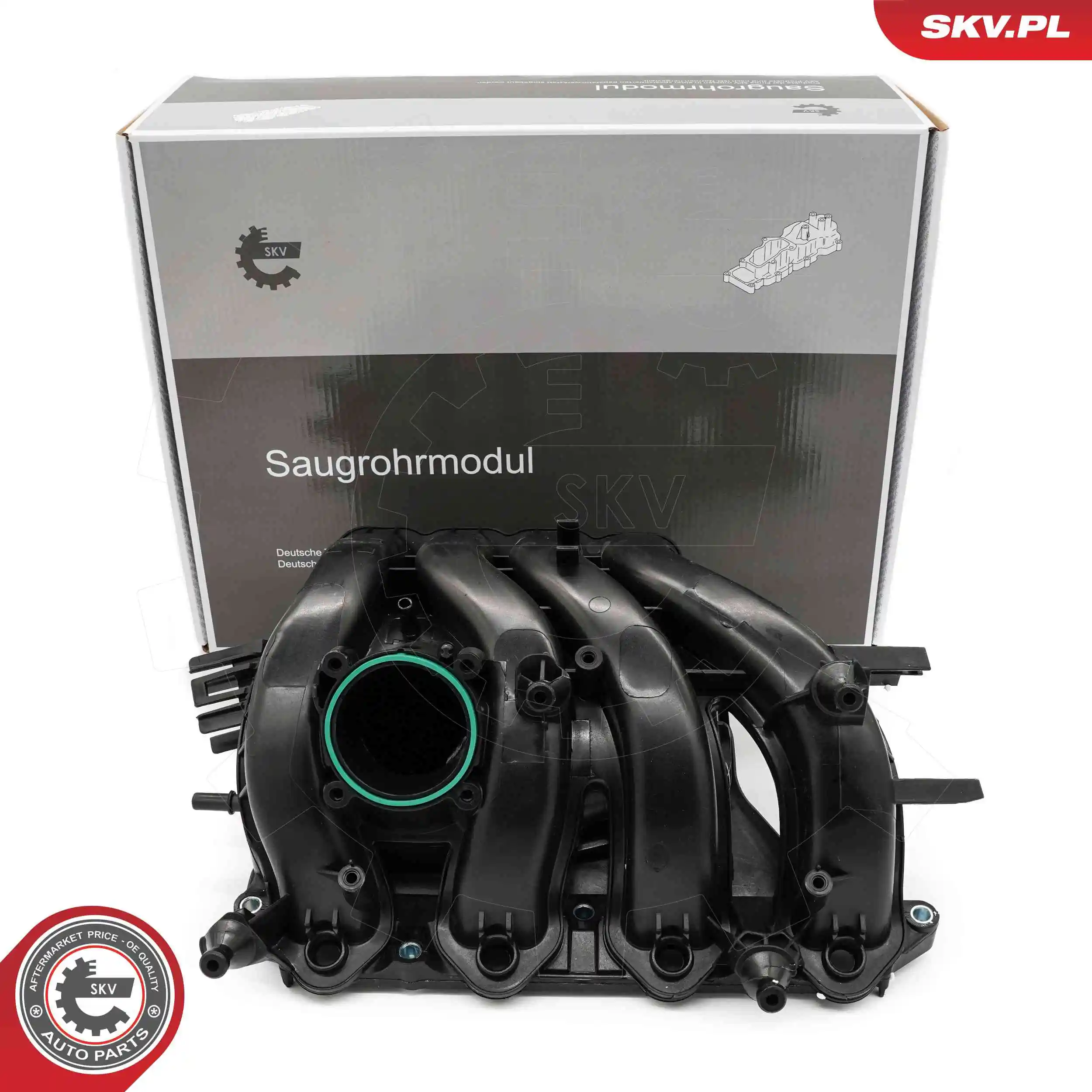 49SKV087 SKV