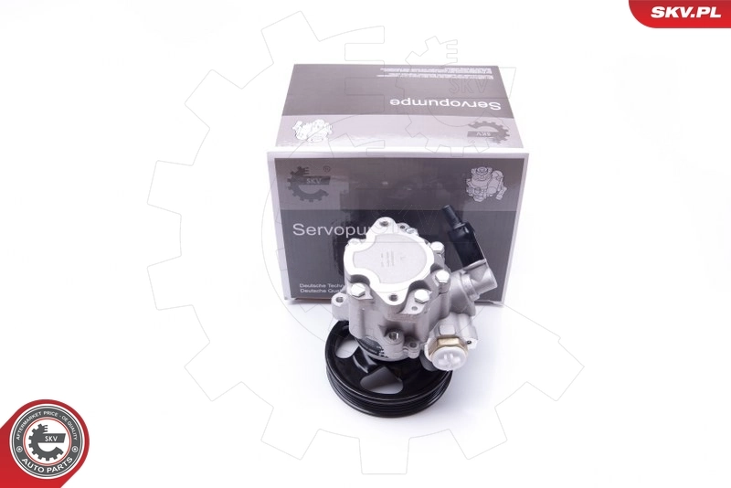 10SKV077 SKV