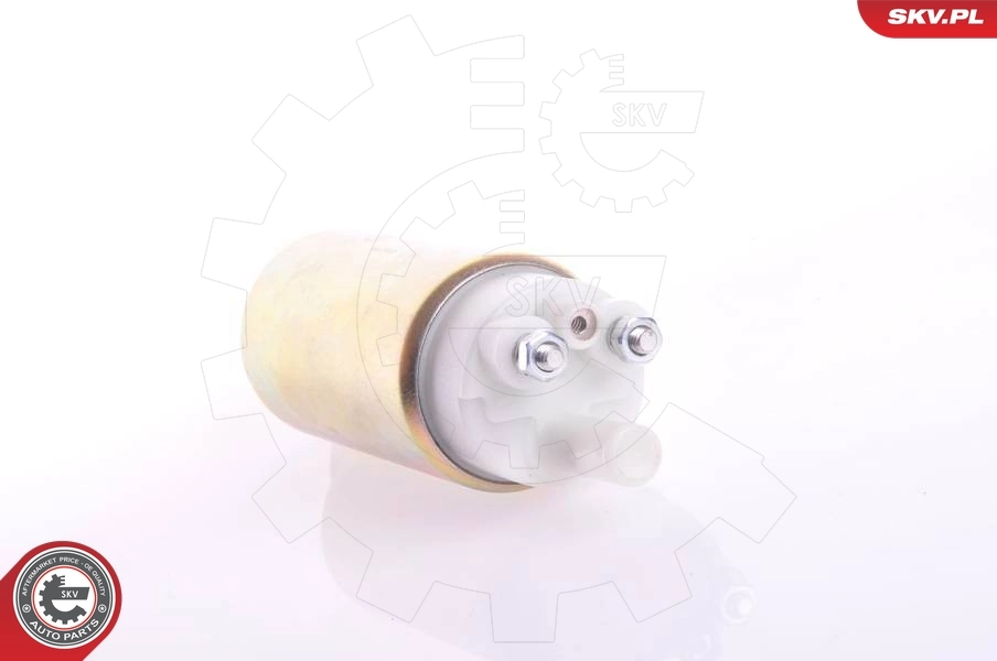 Módulo de alimentación de combustible SKV 02SKV260