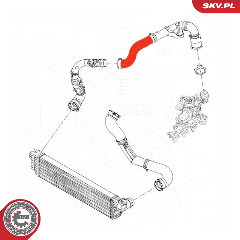 Tubo de salida de aire del turbocompresor Peugeot/Citroen 1688324980 precio, desde 66,66 EUR