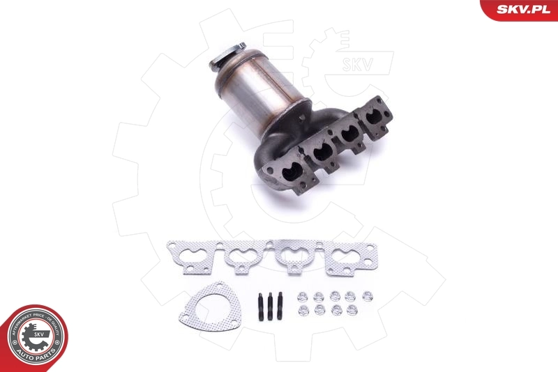 Catalizador SKV 62SKV006 precio, desde 233,32 EUR