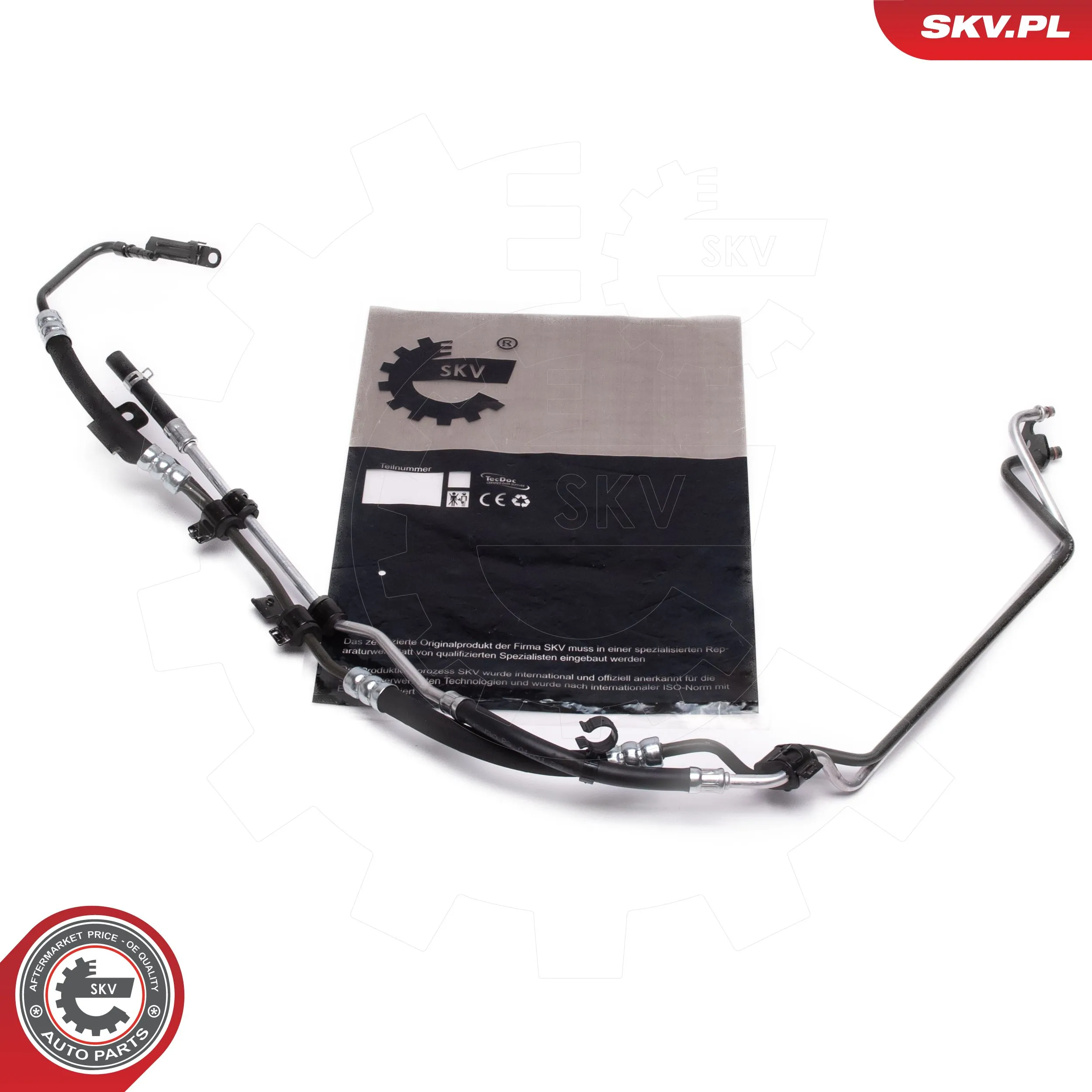 10SKV841 SKV