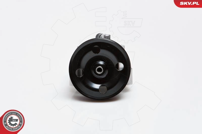 10SKV091 SKV