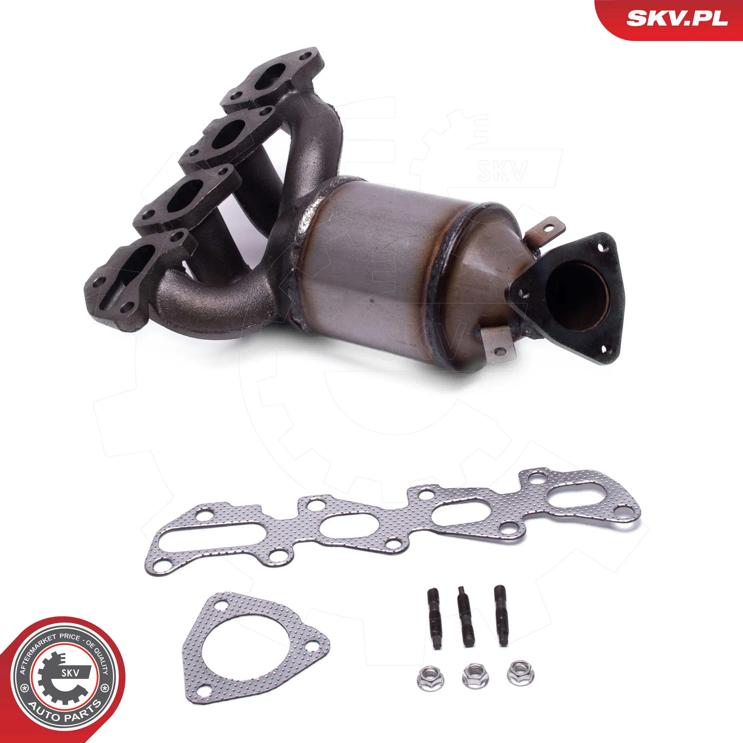 Catalizador SKV 62SKV021 precio, desde 274,21 EUR