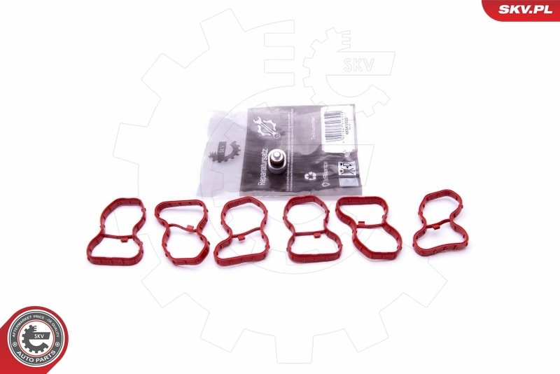 Comprar Junta de colector de admisión BMW X3  F25