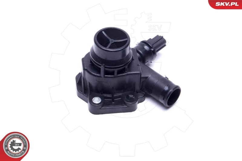 20SKV170 SKV Termostato de agua