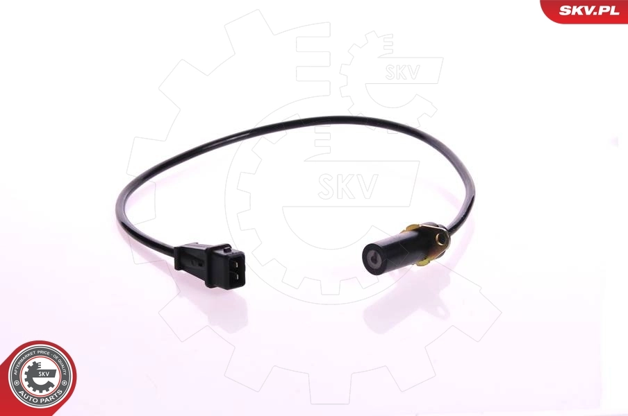 17SKV205 SKV