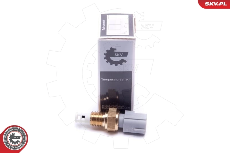 17SKV684 SKV
