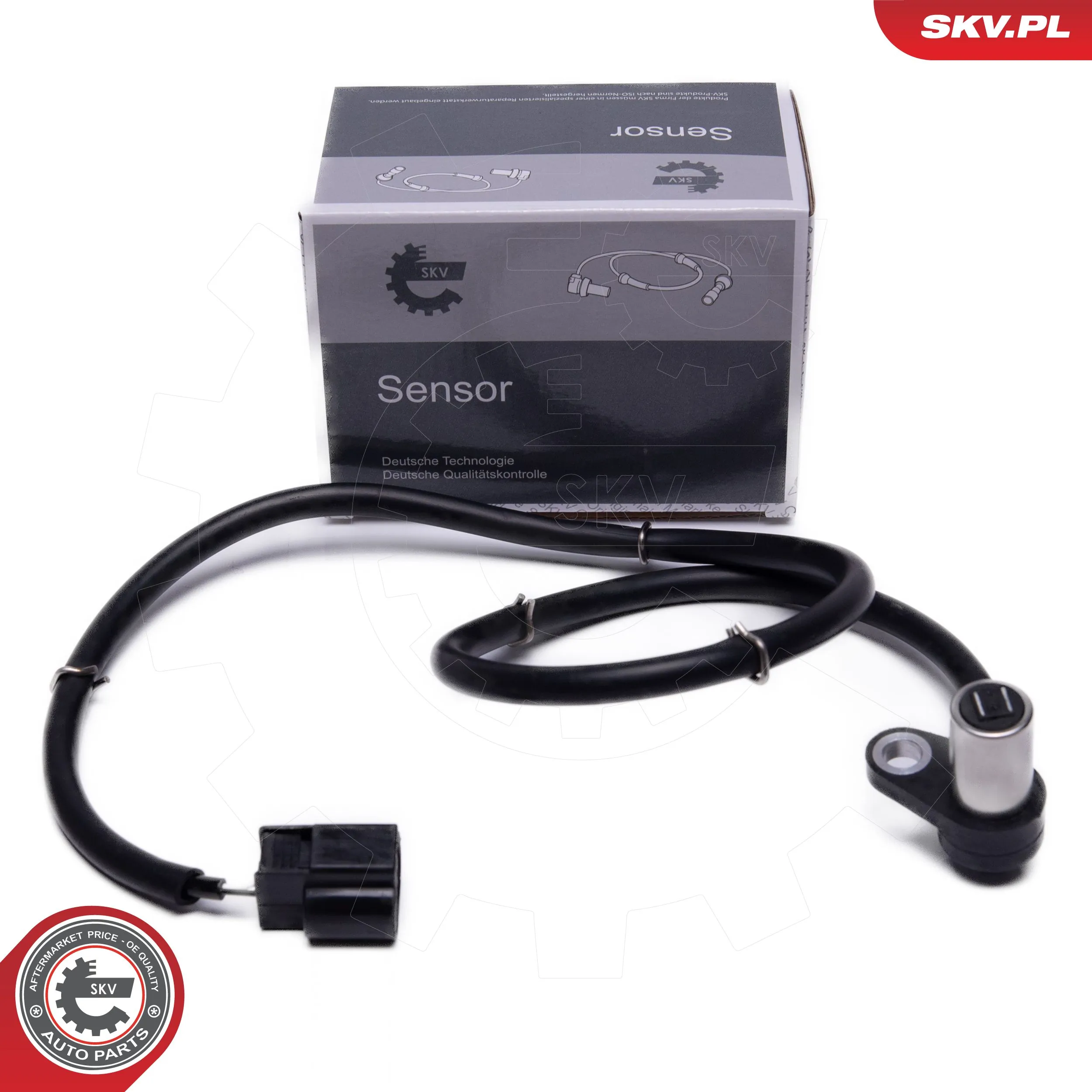 06SKV493 SKV