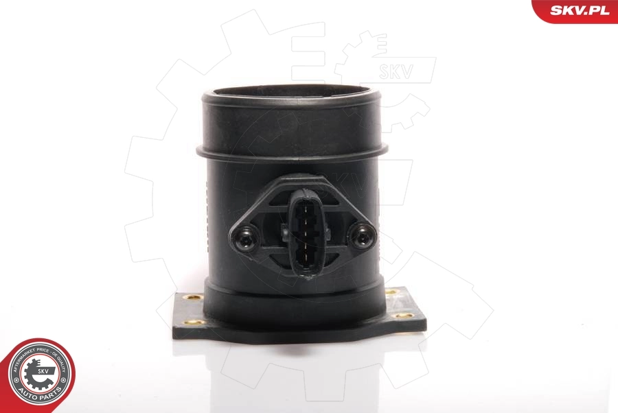 Sensor de flujo de aire Nissan Terrano II (1993-2006)