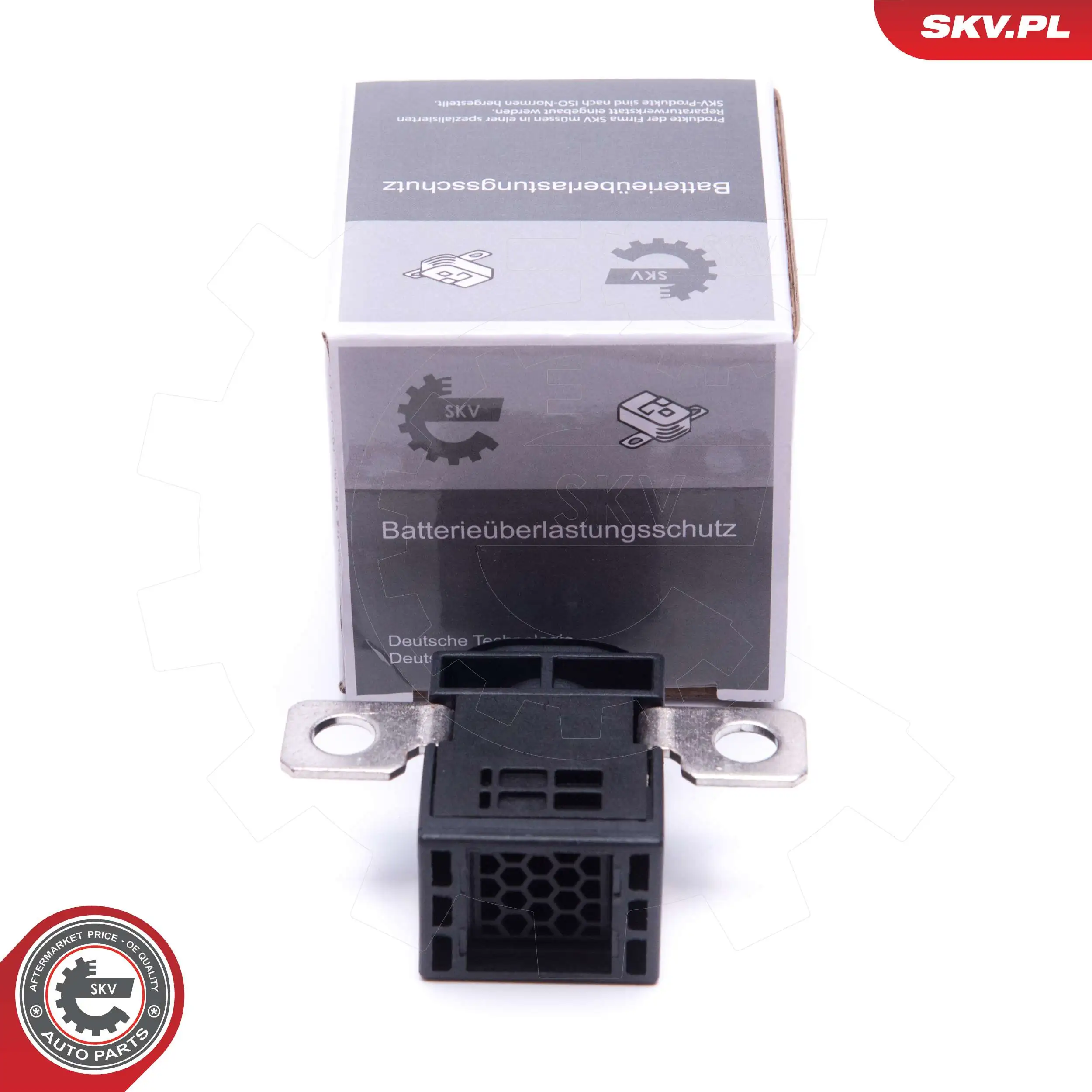 96SKV004 SKV