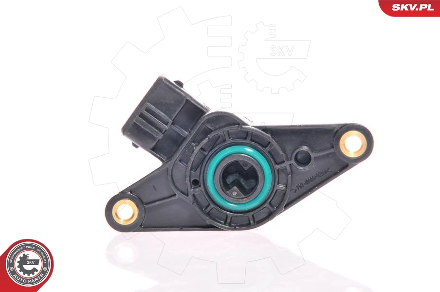 17SKV008 SKV Sensor de posición del acelerador