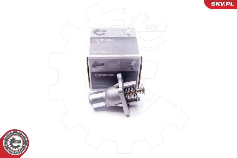 20SKV081 SKV