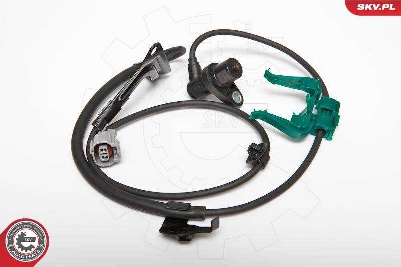06SKV194 SKV
