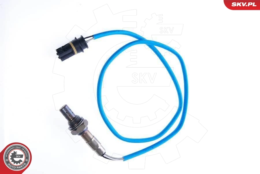 09SKV031 SKV