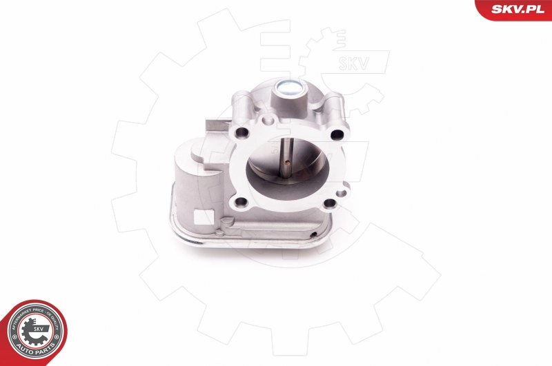 Cuerpo de aceleración completo SKV 12SKV066 precio, desde 97,17 EUR