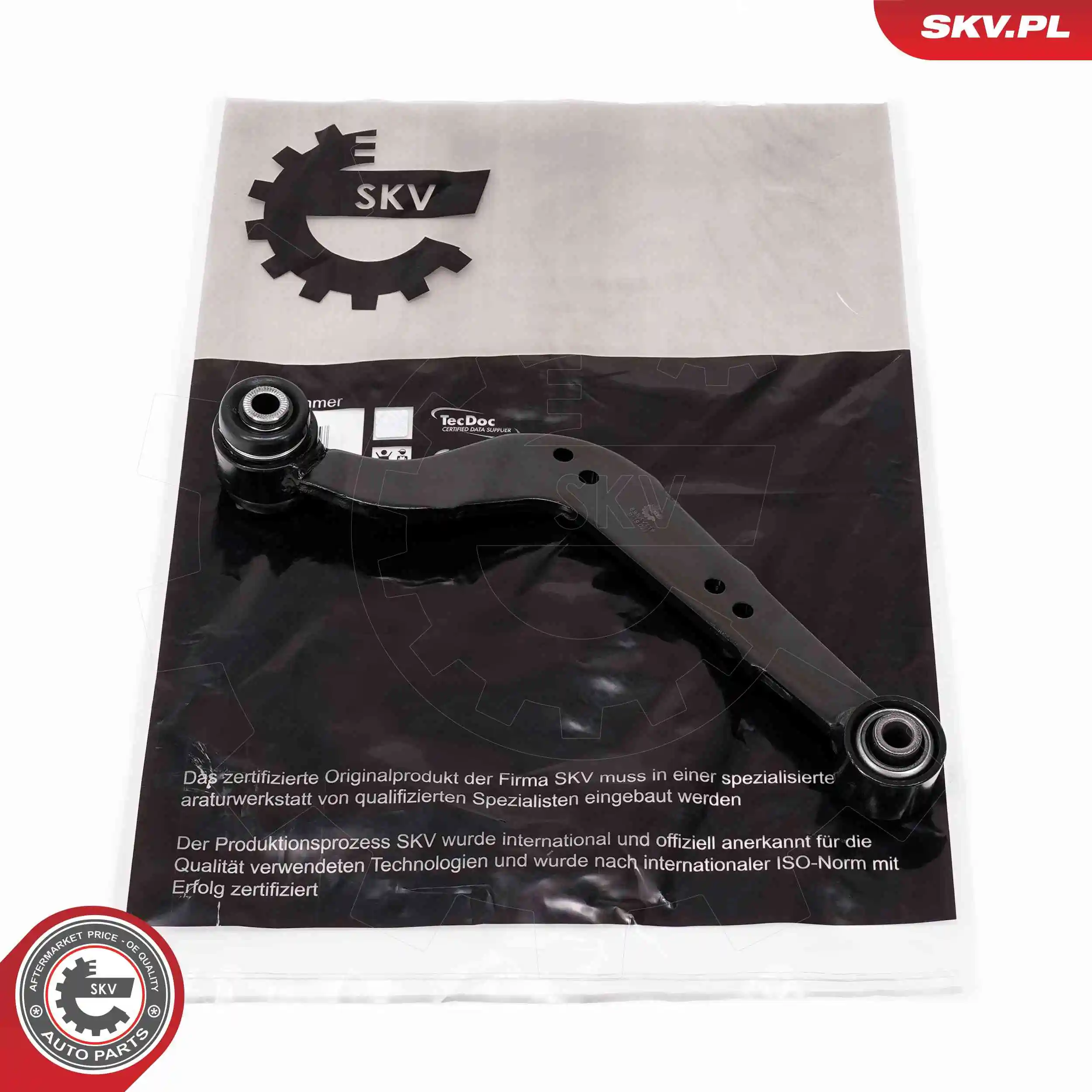 69SKV119 SKV
