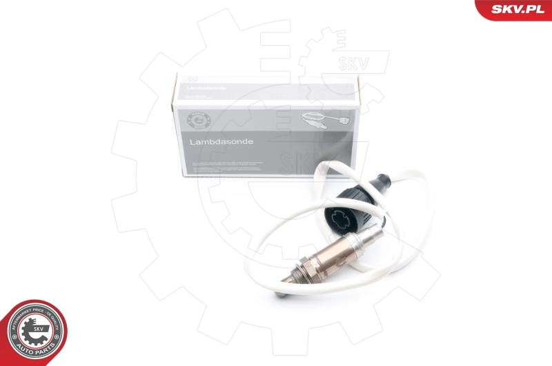 09SKV587 SKV