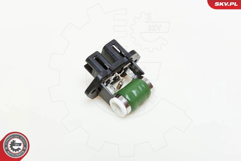 95SKV011 SKV