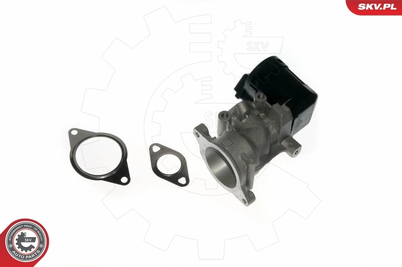 Válvula de regulación de gases Ford S-Max  desde 71,15 €