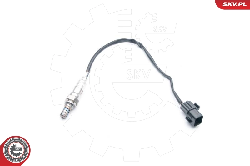 09SKV743 SKV