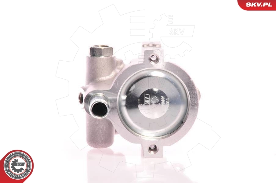 10SKV021 SKV