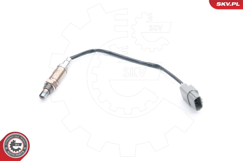 09SKV721 SKV
