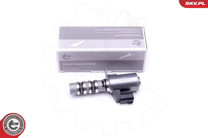 Comprar Válvula de control de aceite del árbol de levas Primera  P12