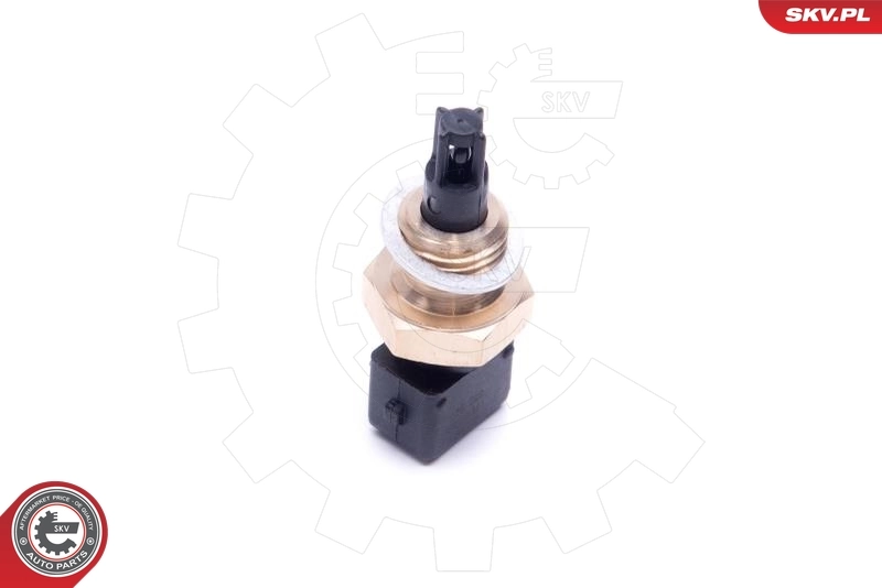 17SKV685 SKV Sensor de temperatura del aire de admisión