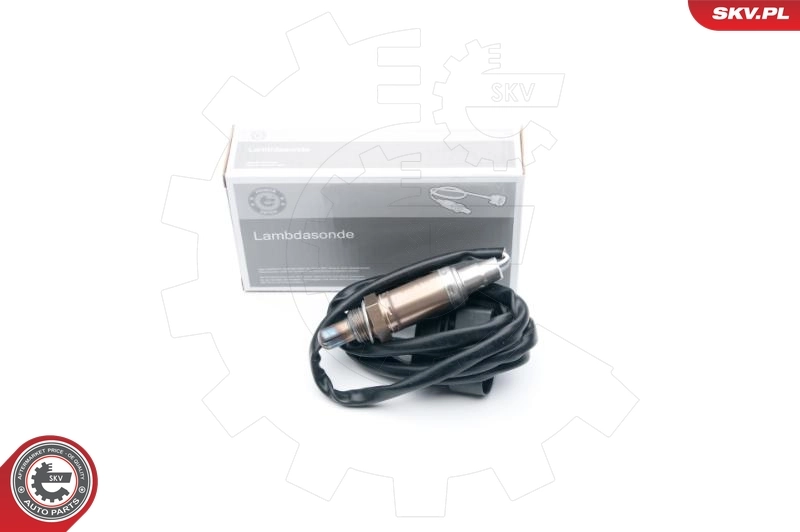 09SKV613 SKV