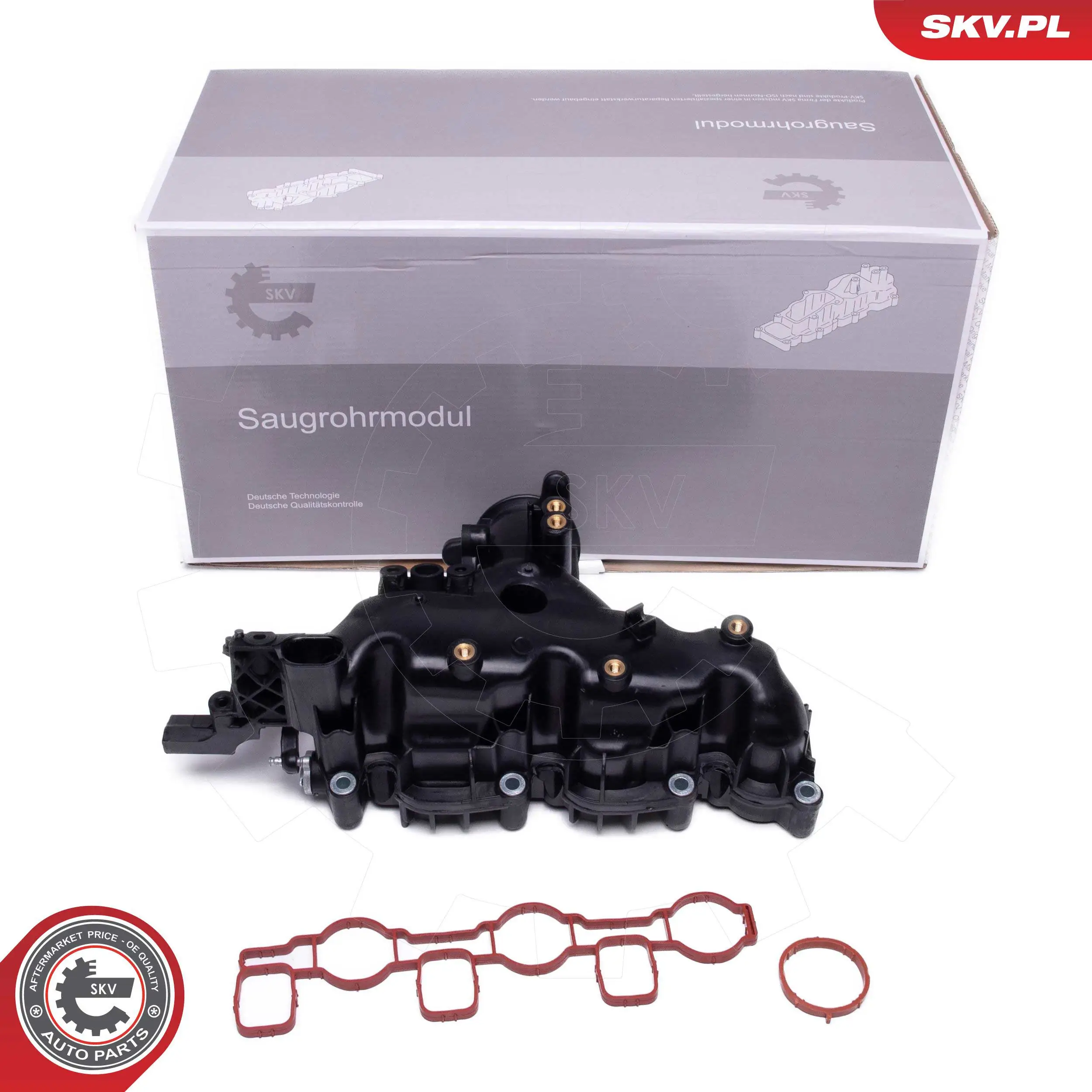 49SKV080 SKV