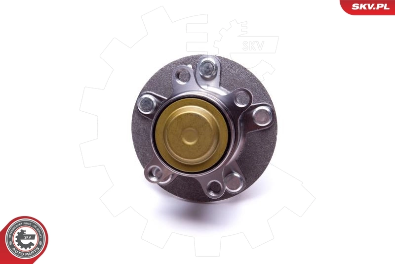 Comprar 29SKV559 SKV Cubo de rueda, Eje trasero