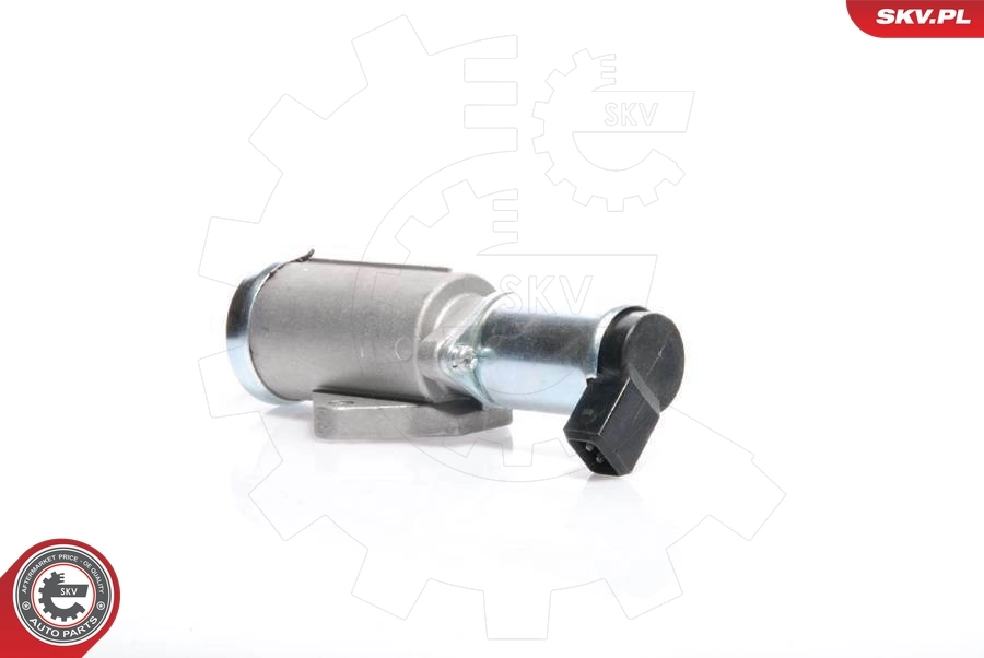 08SKV219 SKV