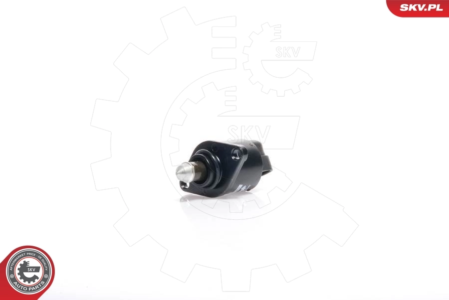 08SKV029 SKV