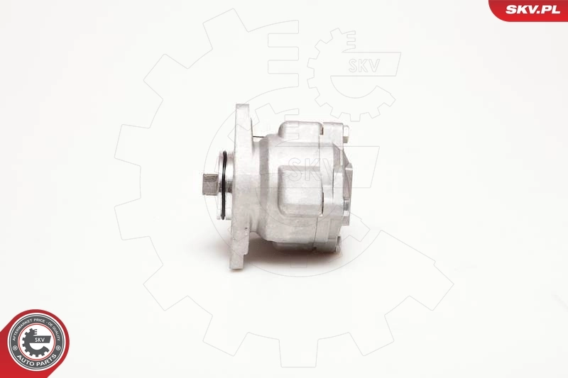 Bomba de dirección asistida  SKV 10SKV051 precio, desde 53,55 EUR