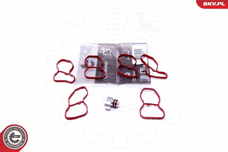 49SKV516 SKV